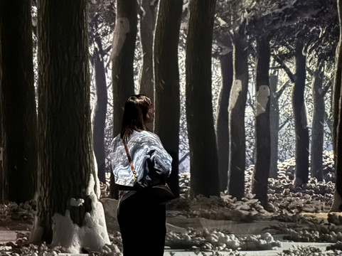 ARTE MUSEUM DUBAI-迪拜必去景点