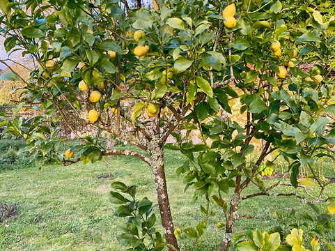 Convento de Cabanas-维亚纳堡必去景点