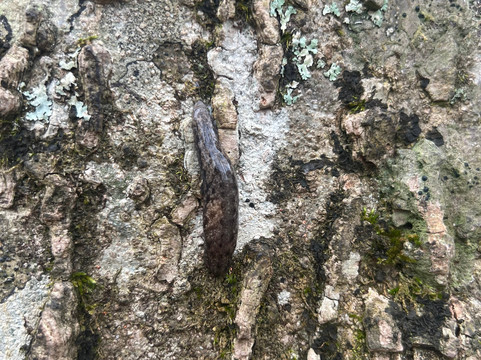 Burgess Falls State Park-Sparta必去景点