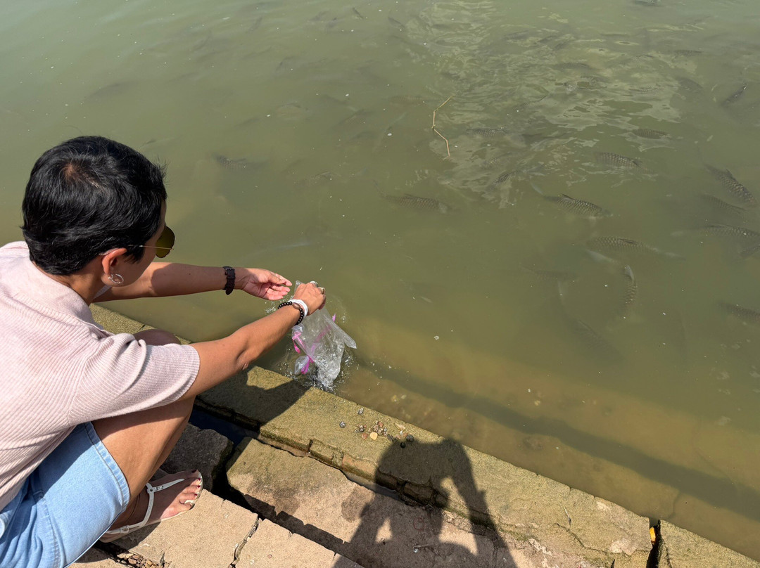 Wat Maha That Temple-佛统必去景点