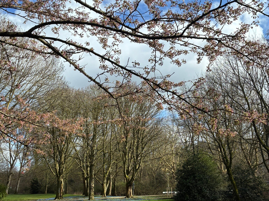 Gijsbrecht Aemstelpark-阿姆斯特丹必去景点
