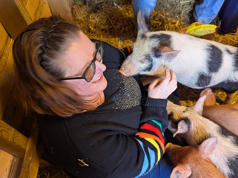 Quex Adventure Farm Park-Birchington必去景点