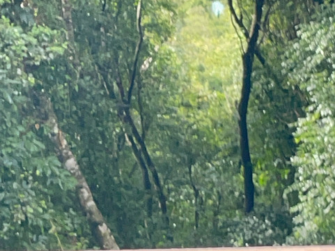 Parque Ecológico Rio Formoso-博尼图必去景点