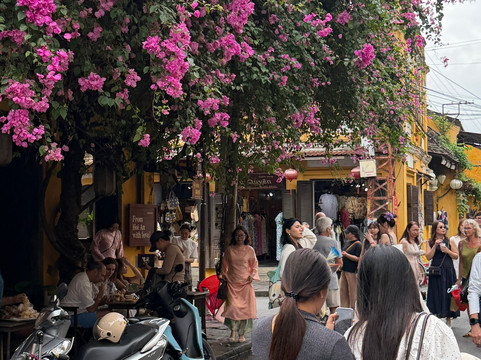 Novn Travel-下龙湾必去景点