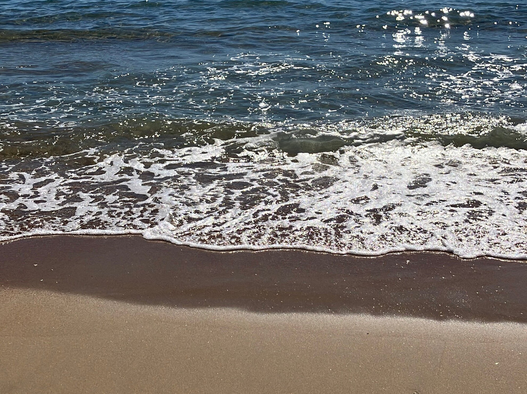 Platja de Ponent-贝尼多姆必去景点