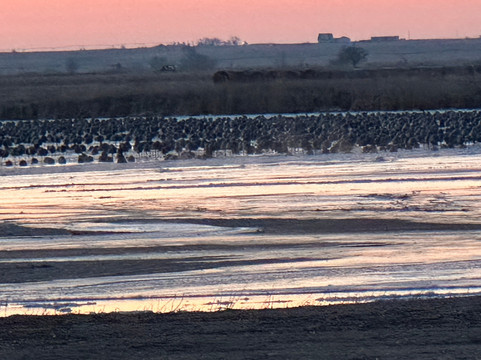 Crane Trust-Wood River必去景点