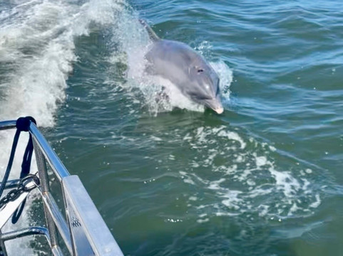 Crysten’s AMI Boat Tours-Holmes Beach必去景点