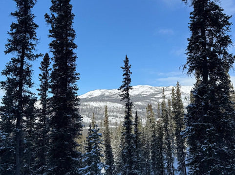 Equinox Adventures-白马市必去景点