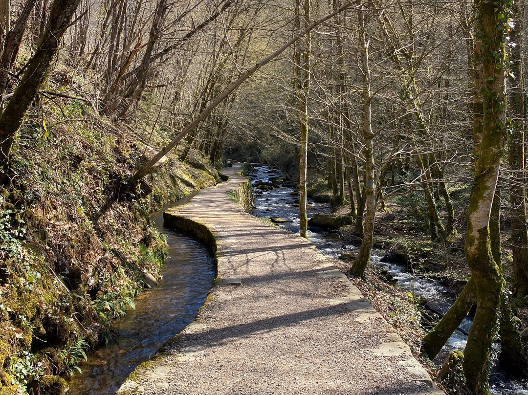 乐索​​特德拉白吉尔住宿加早餐旅馆主图