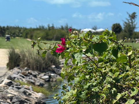 Royal Turks And Caicos Golf Club-格雷斯湾必去景点