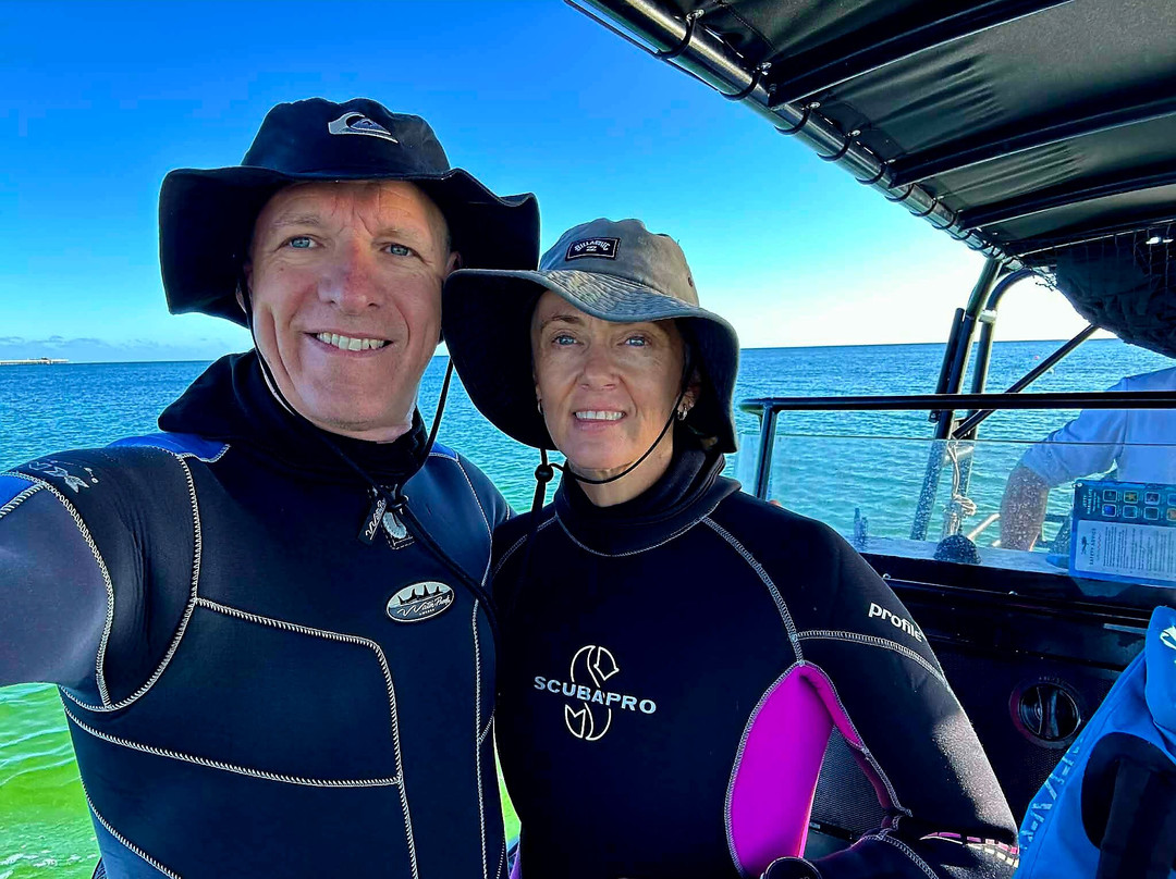 Swan Dive Busselton-巴瑟尔顿必去景点