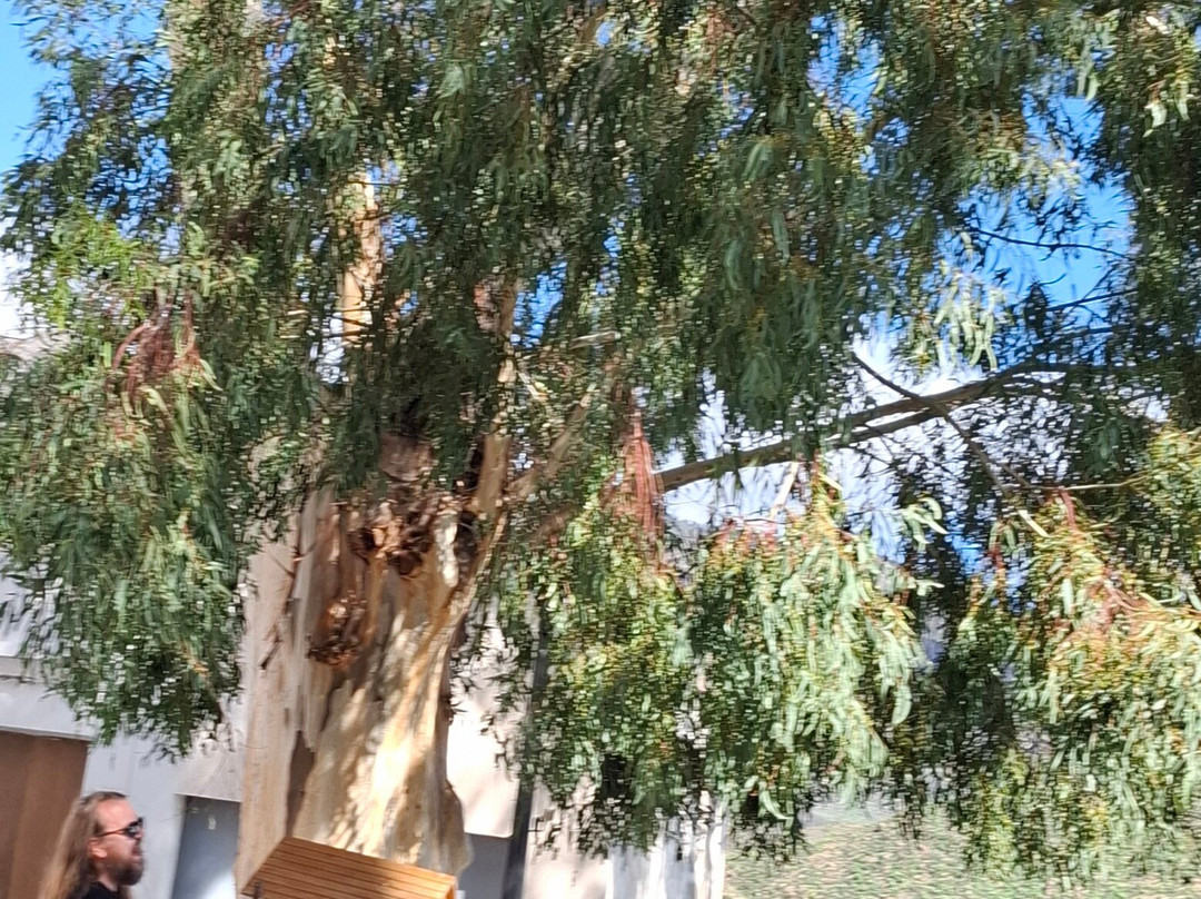 Mirador de La Orilla-San Bartolome de Tirajana必去景点