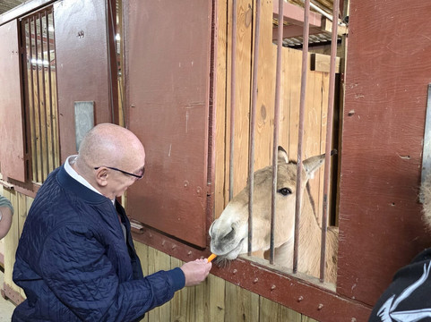 The Wilds-Cumberland必去景点