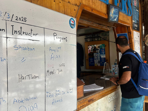 Penguin Divers Club-达哈卜必去景点