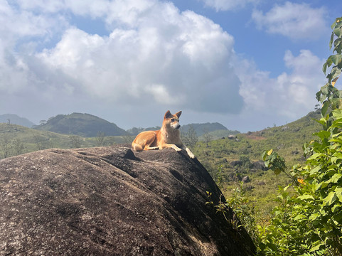 斯里兰卡徒步探险旅馆主图