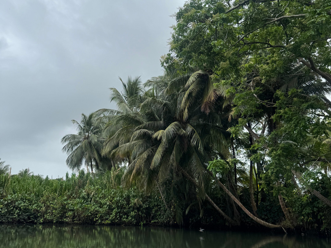 Pell'i Canot-Petit-Bourg必去景点