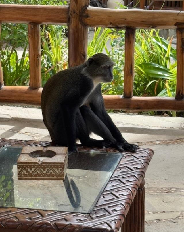 爱水人海滩度假村主图