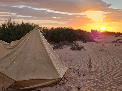 Alam Voyages-杰尔巴岛必去景点