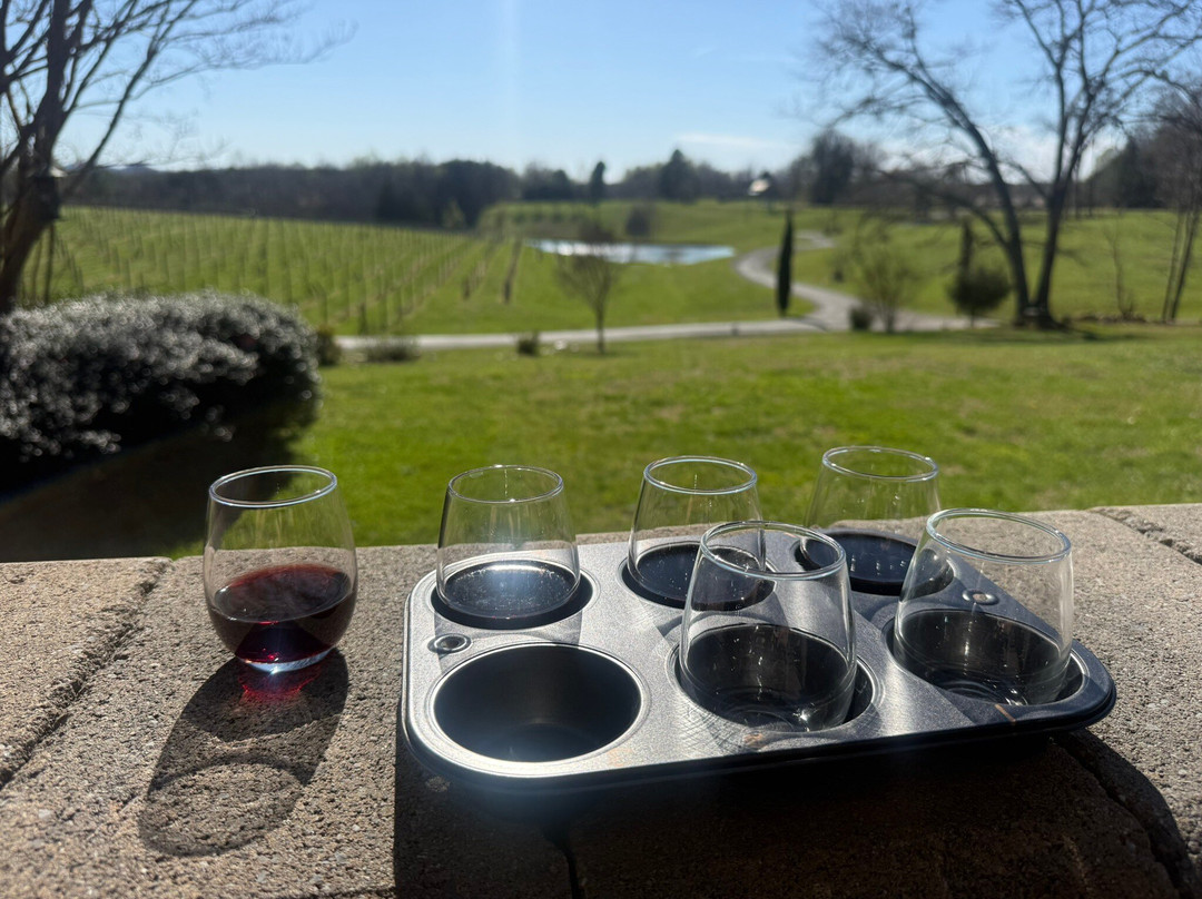 Stony Knoll Vineyards-Dobson必去景点