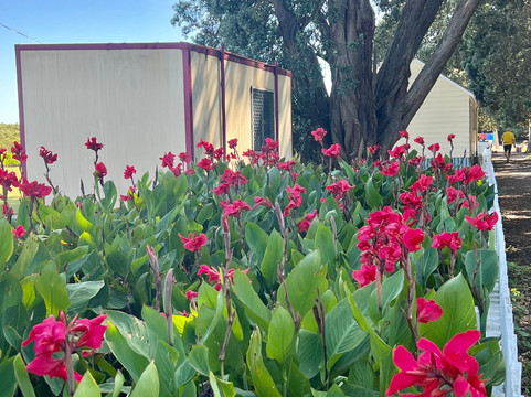 Thames Coastal Walkway-Thames必去景点