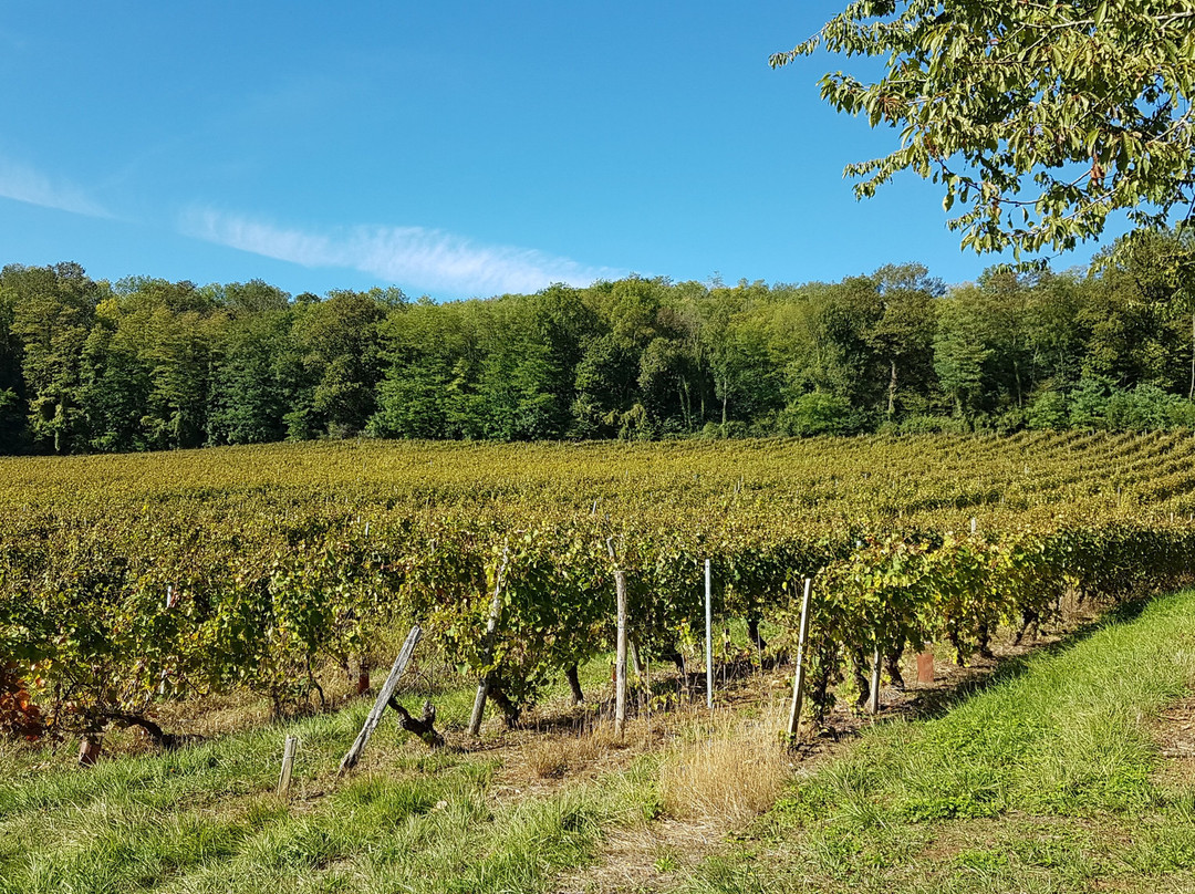 Domaine De Siante-marie-Arlay必去景点