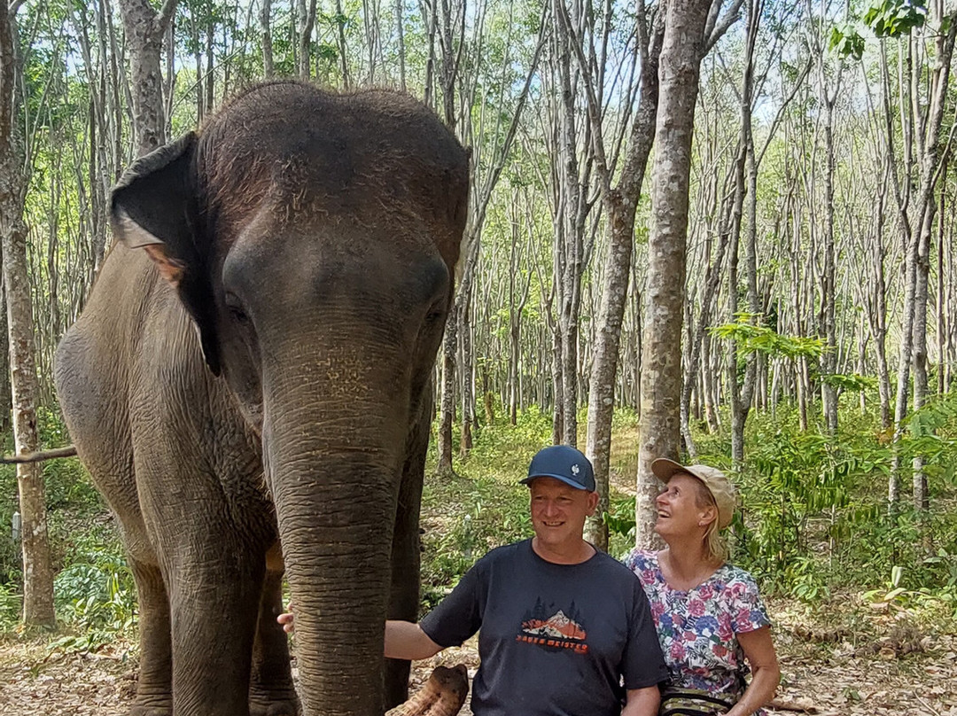 Lanta Elephant Sanctuary-兰塔岛必去景点