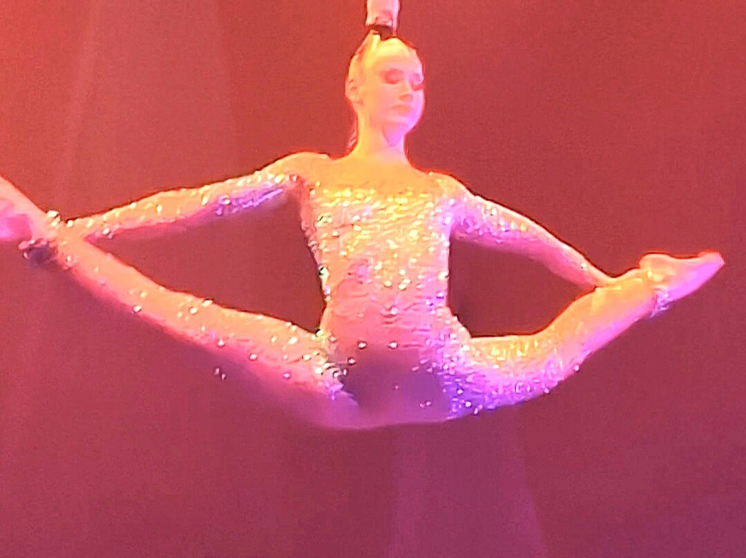 Cirque Imagine Lyon-Vaulx en Velin必去景点