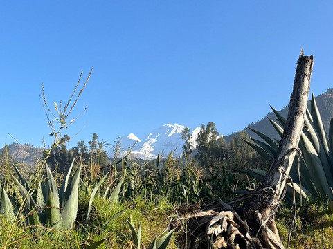 Gloria Perou Voyages-Carhuaz必去景点