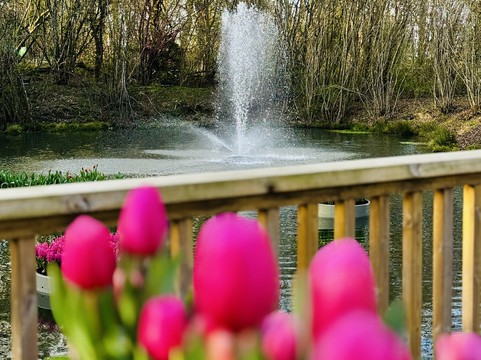 Tulleys-Turners Hill必去景点