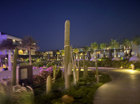 Secrets Baby Beach Aruba