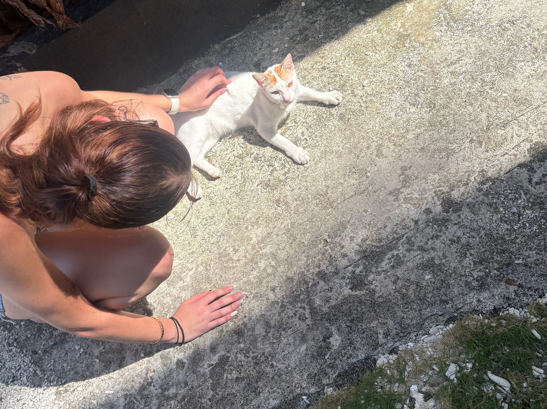 彼得潜水度假村主图