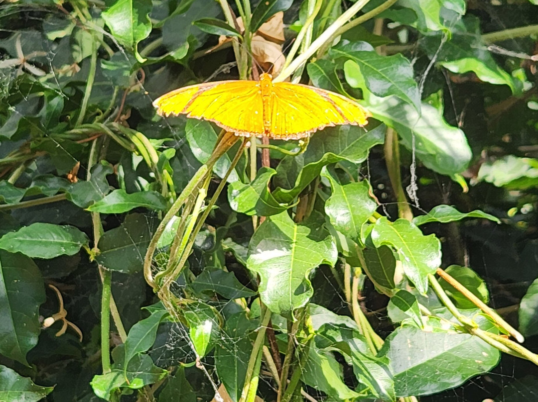 Arizona Boardwalk-斯科茨代尔必去景点