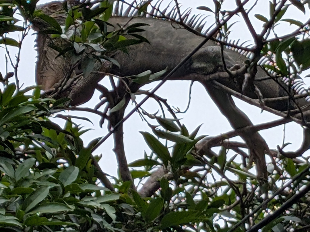 ILT Costa Rica-圣何塞必去景点