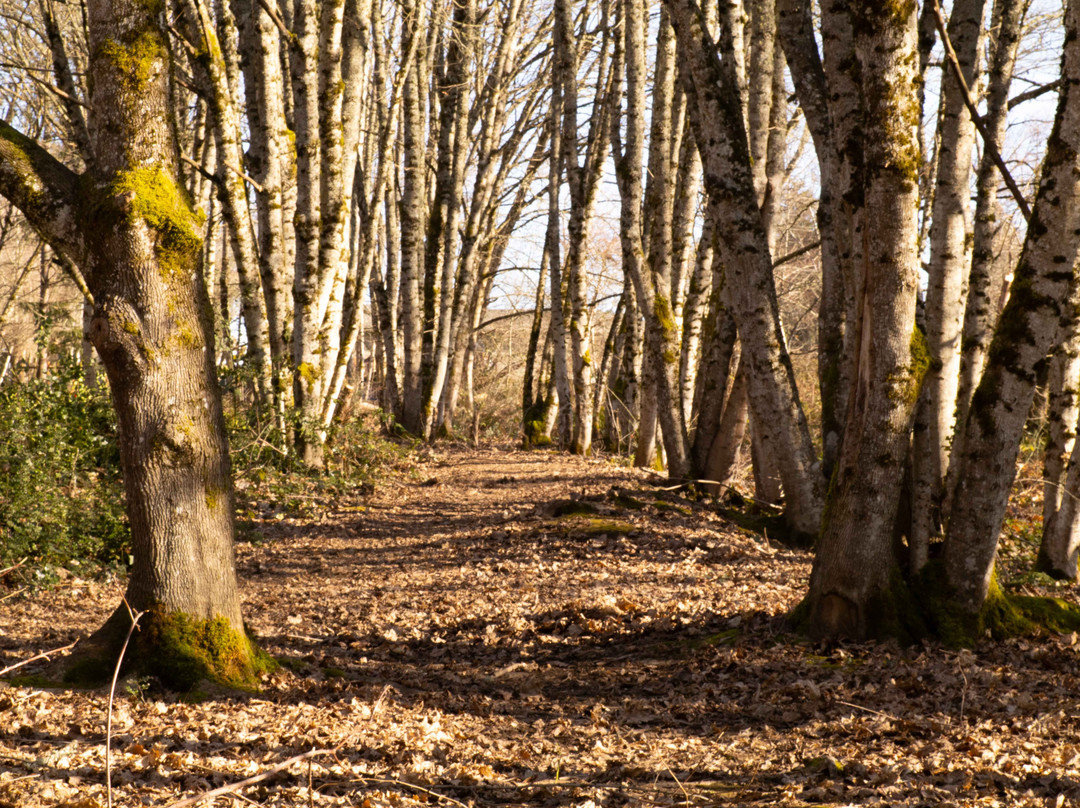 East Gresham Park-格雷舍姆必去景点