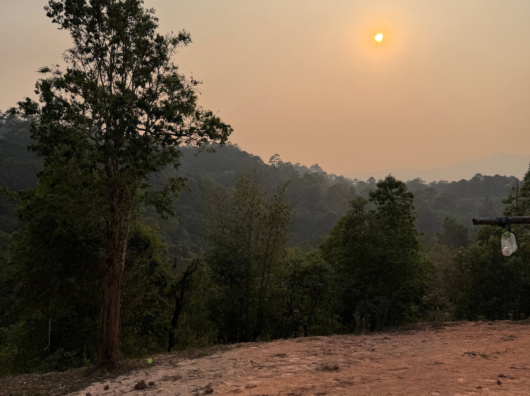 Elephant Freedom Village-清迈必去景点