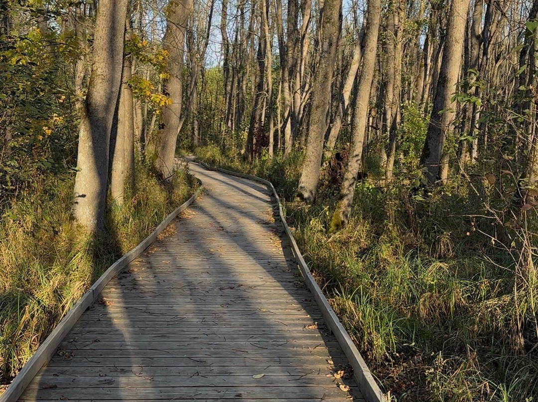Orr Bog Walk-Orr必去景点