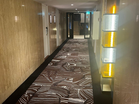 莱奥纳多鹿特丹萨沃伊酒店主图