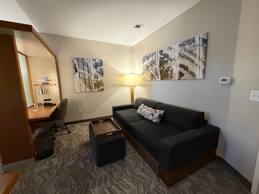 亨茨维尔西区/研究园区SpringHill Suites酒店主图