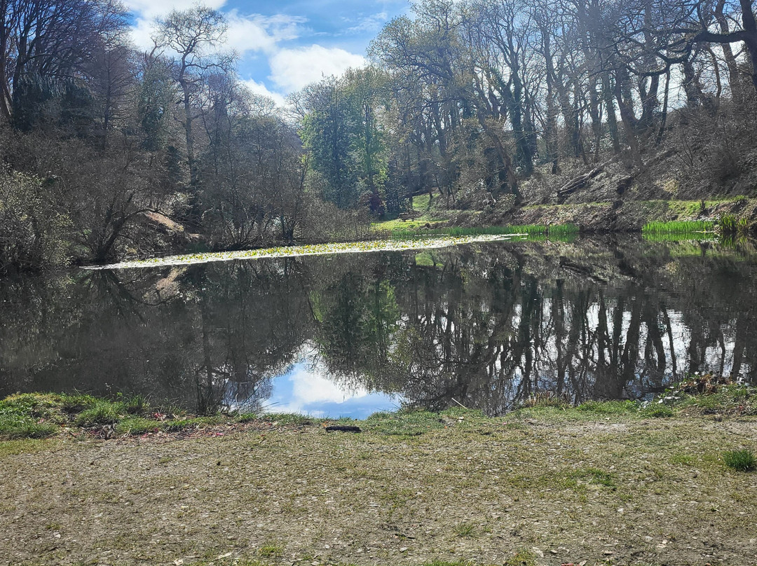 Pencarrow House and Gardens-Washaway必去景点