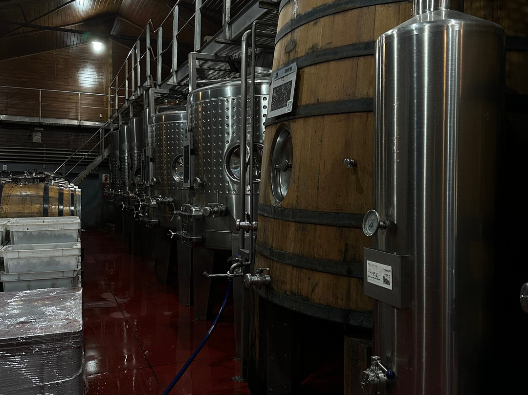 Pulenta Estate Winery-阿格雷洛必去景点