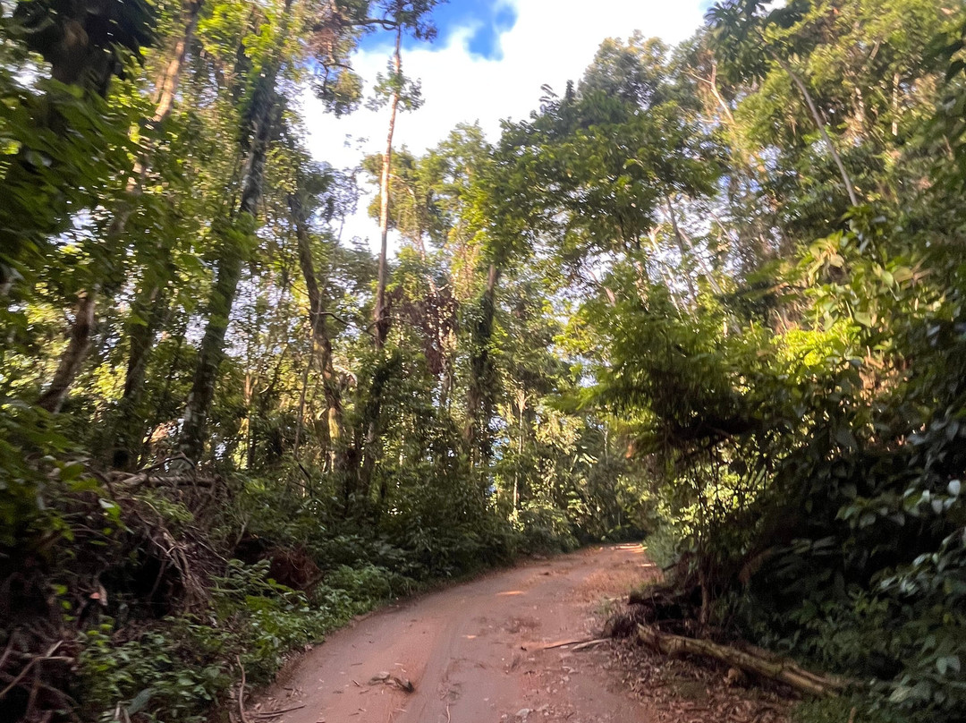 LandPoint Turismo-伊利亚贝拉必去景点