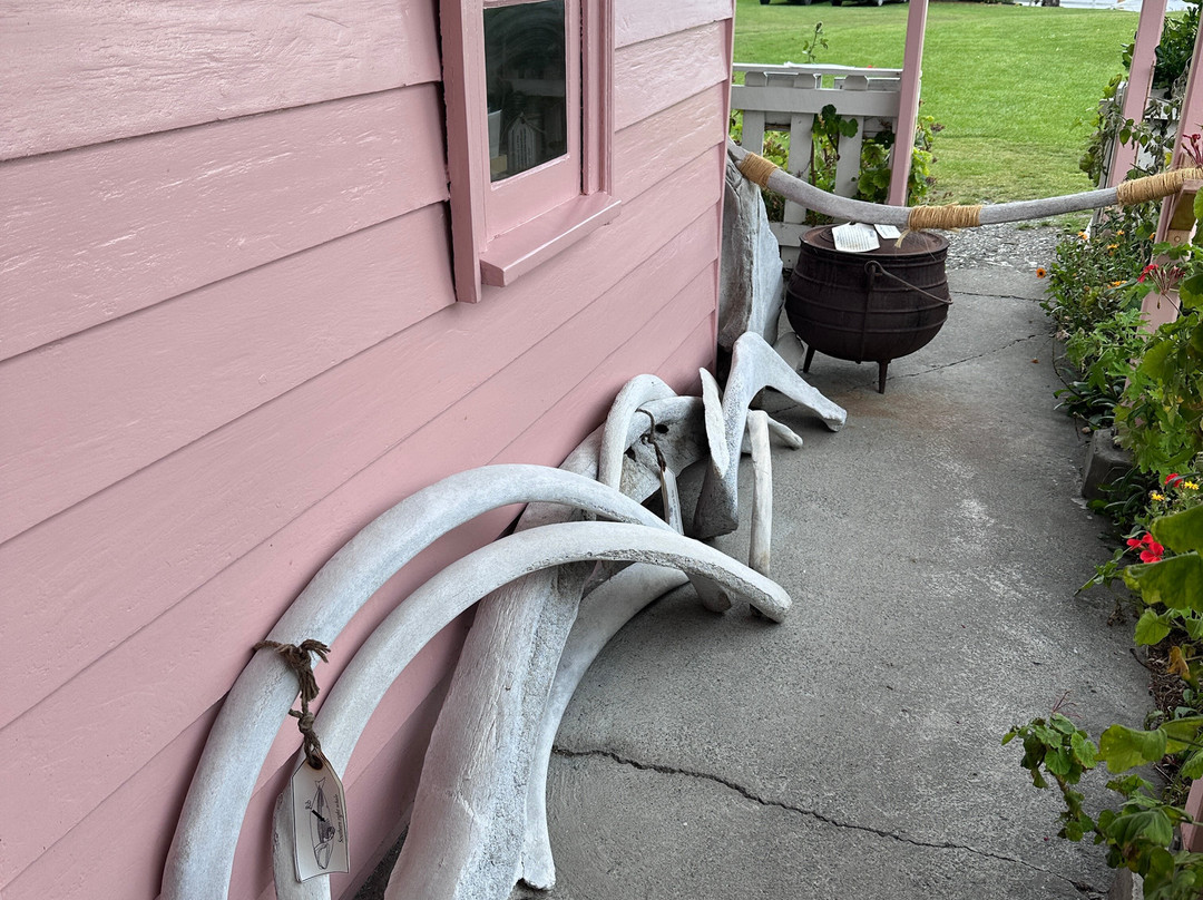 Fyffe House-Kaikoura必去景点