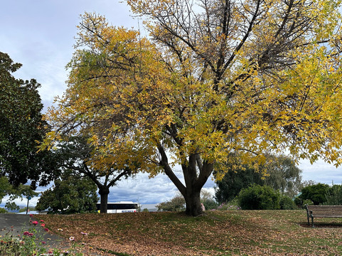 波拉德公园-布伦海姆必去景点