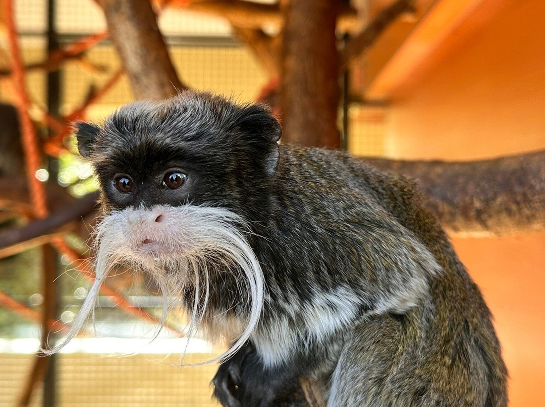 Vogelpark Avifauna-Alphen aan den Rijn必去景点