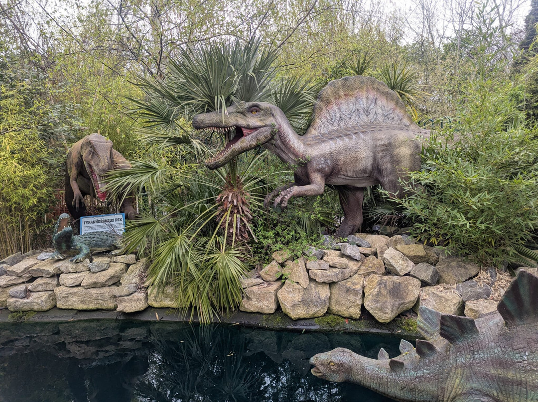 Jurassic Encounter Adventure Golf-新莫尔登必去景点