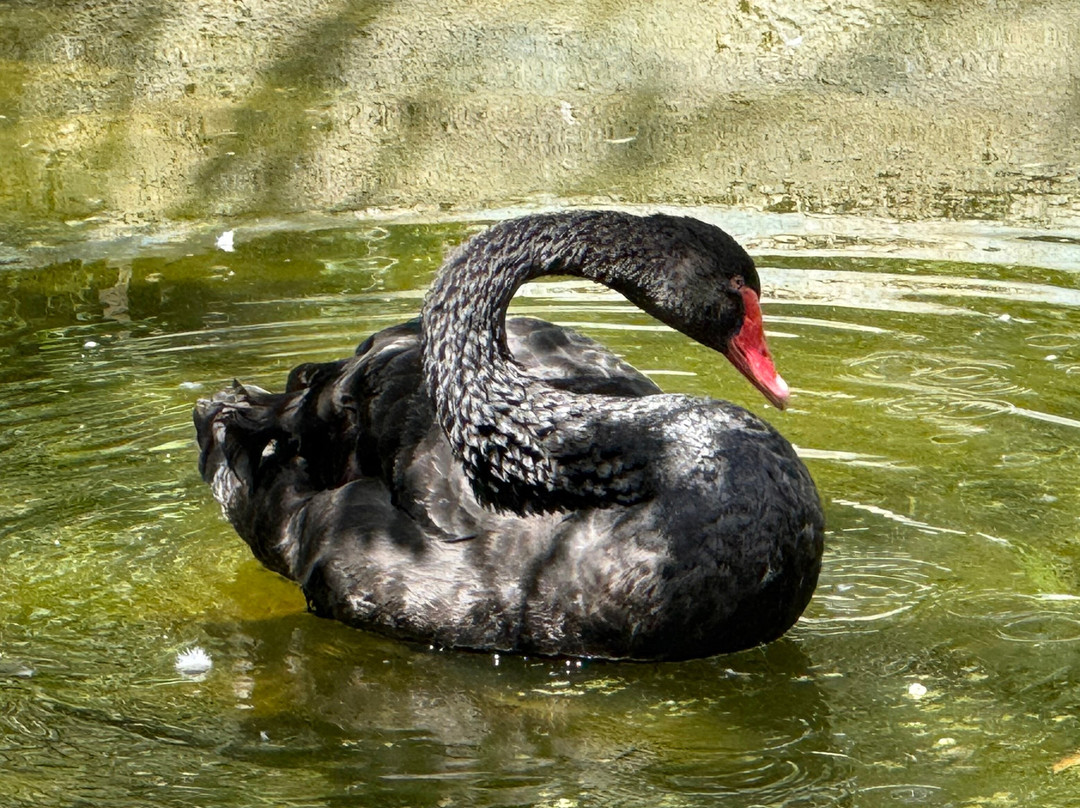 Mundo Park-Las Pajanosas必去景点