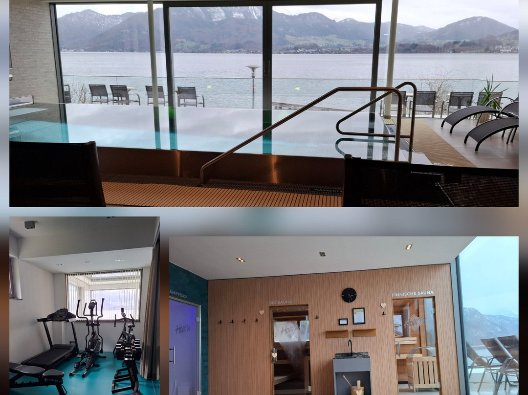 特劳恩克申酒店住宿-Seegasthof Hotel Hois'n Wirt