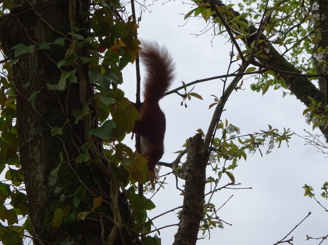 Wildwood Devon-Ottery St. Mary必去景点