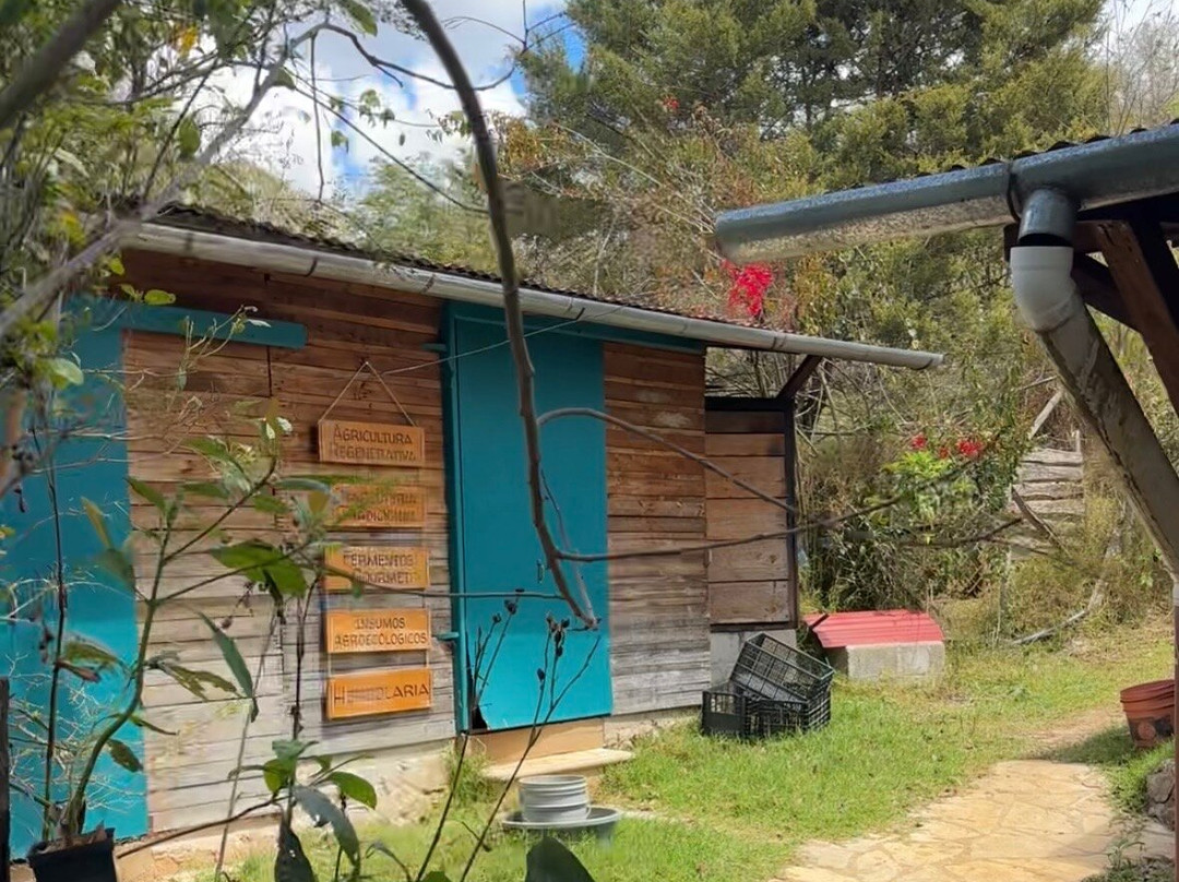Rancho Lum Ha’-Teopisca必去景点