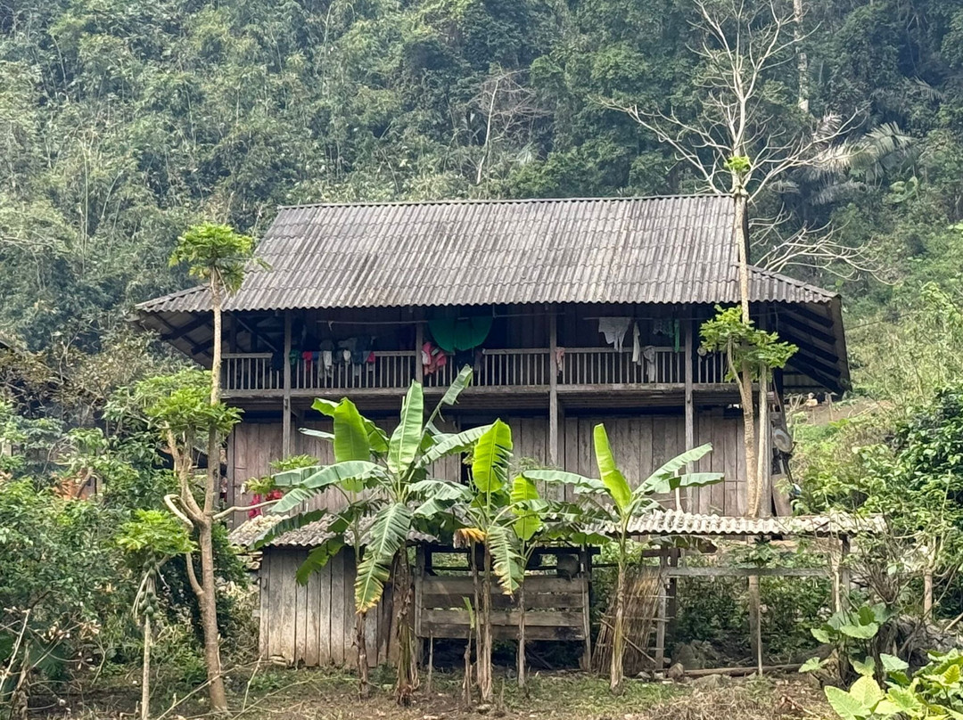 Ba Be Jungle Houses主图